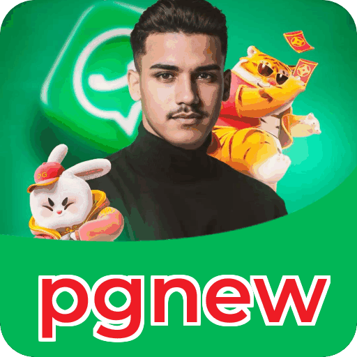 Interface pgnew